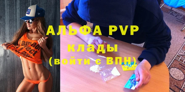 эйфоретик Алзамай