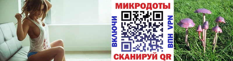 сайты даркнета как зайти Лесной Псилоцибиновые грибы ЛСД