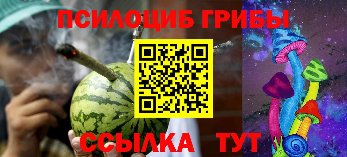 Псилоцибиновые грибы Magic Shrooms  Вход с VPN  Лесной 
